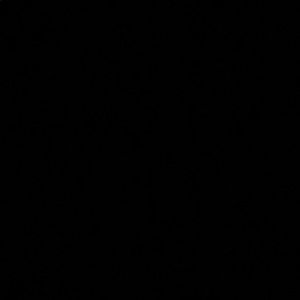 Meet your Posher, Mia